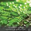 imageFairfield OLYFun MultiPurpose Craft Fabric Polypropylene Fabric for Sewing Stenciling Tying and More Craft Supplies Kiwi 10 Yard Bolt